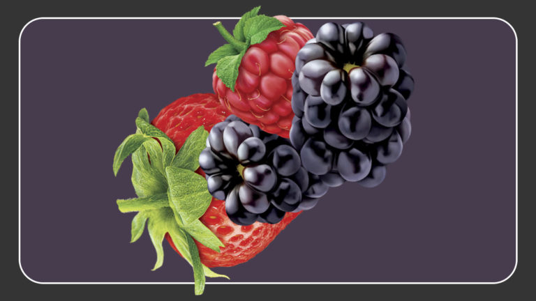 Frutas vermelhas - Ilustração para embalagem