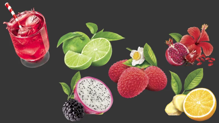 Ilustrações Frutas para cha