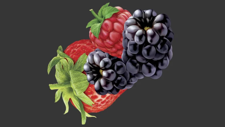 Ilustração de frutas