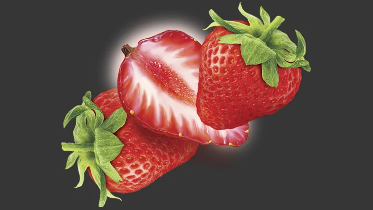 Ilustração de morango